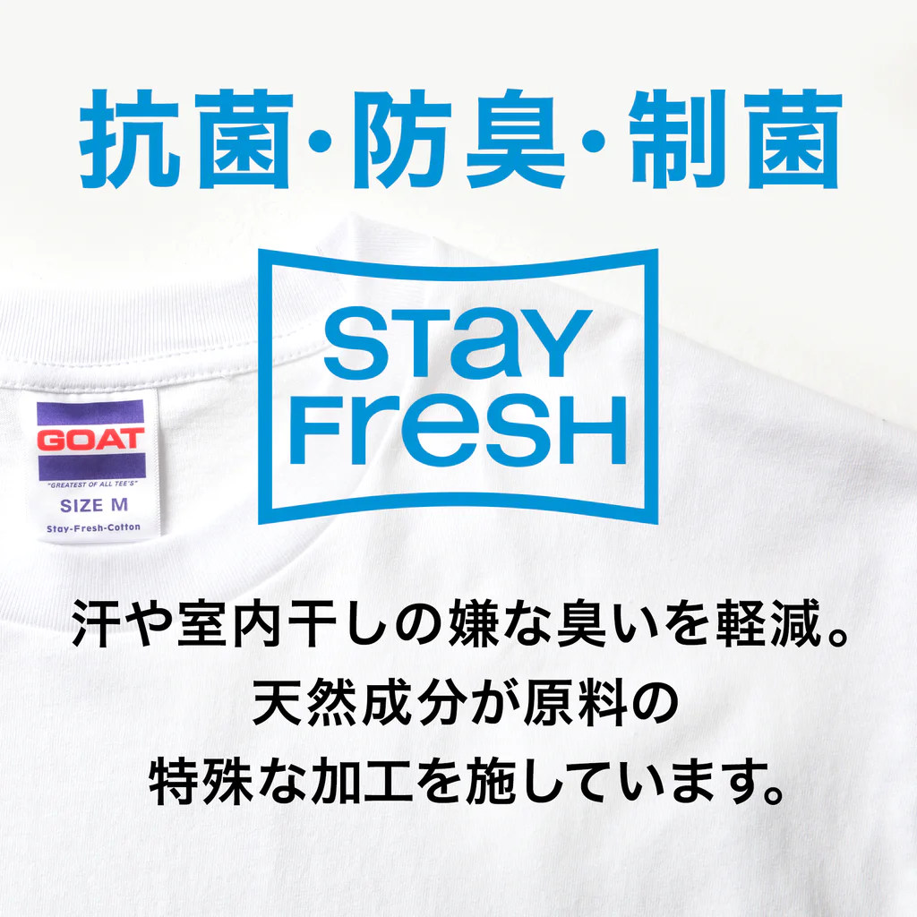 JIMOTOE Wear Local Japanの葛城市 KATSURAGI CITY Big T-Shirt