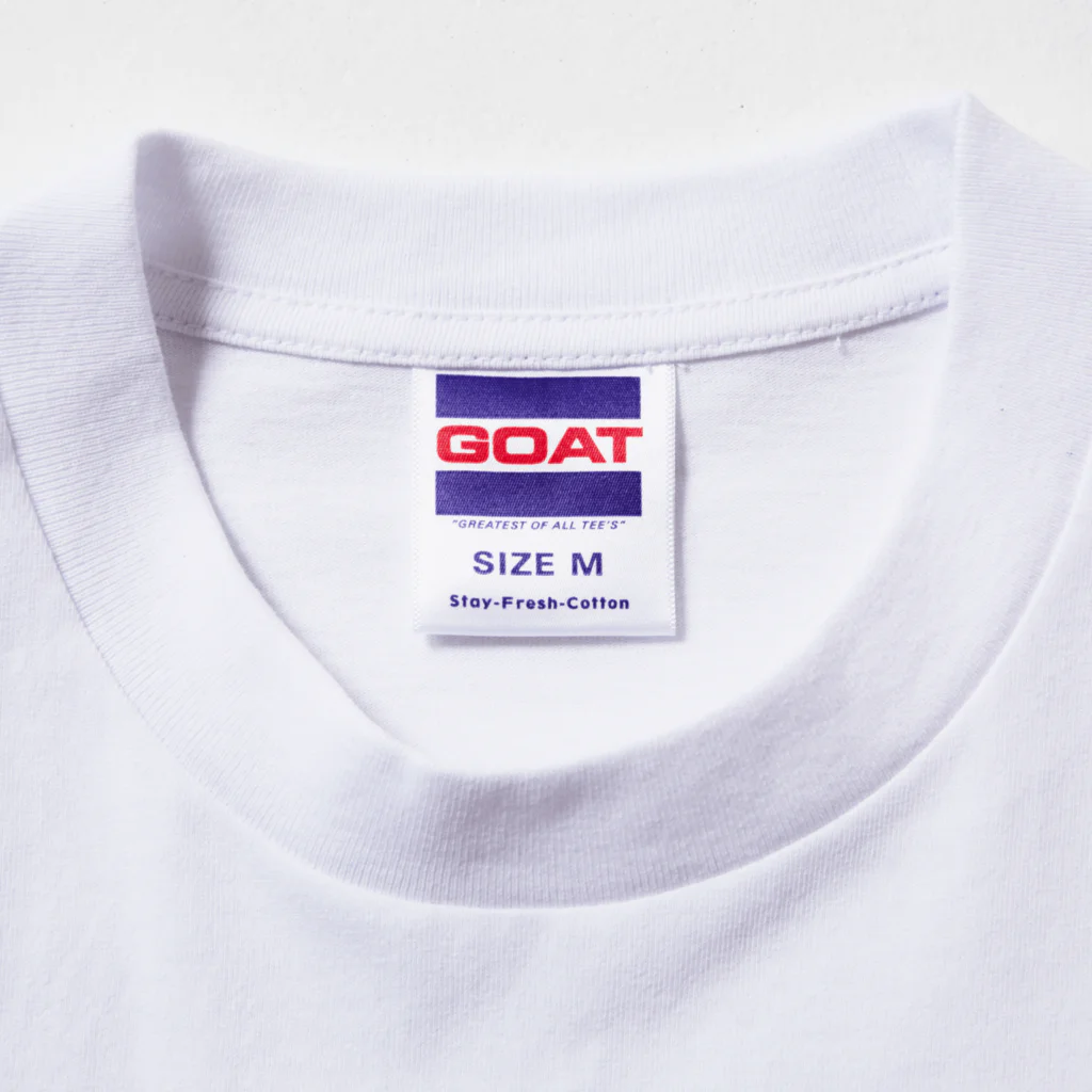 JIMOTOE Wear Local Japanの葛城市 KATSURAGI CITY Big T-Shirt :tag