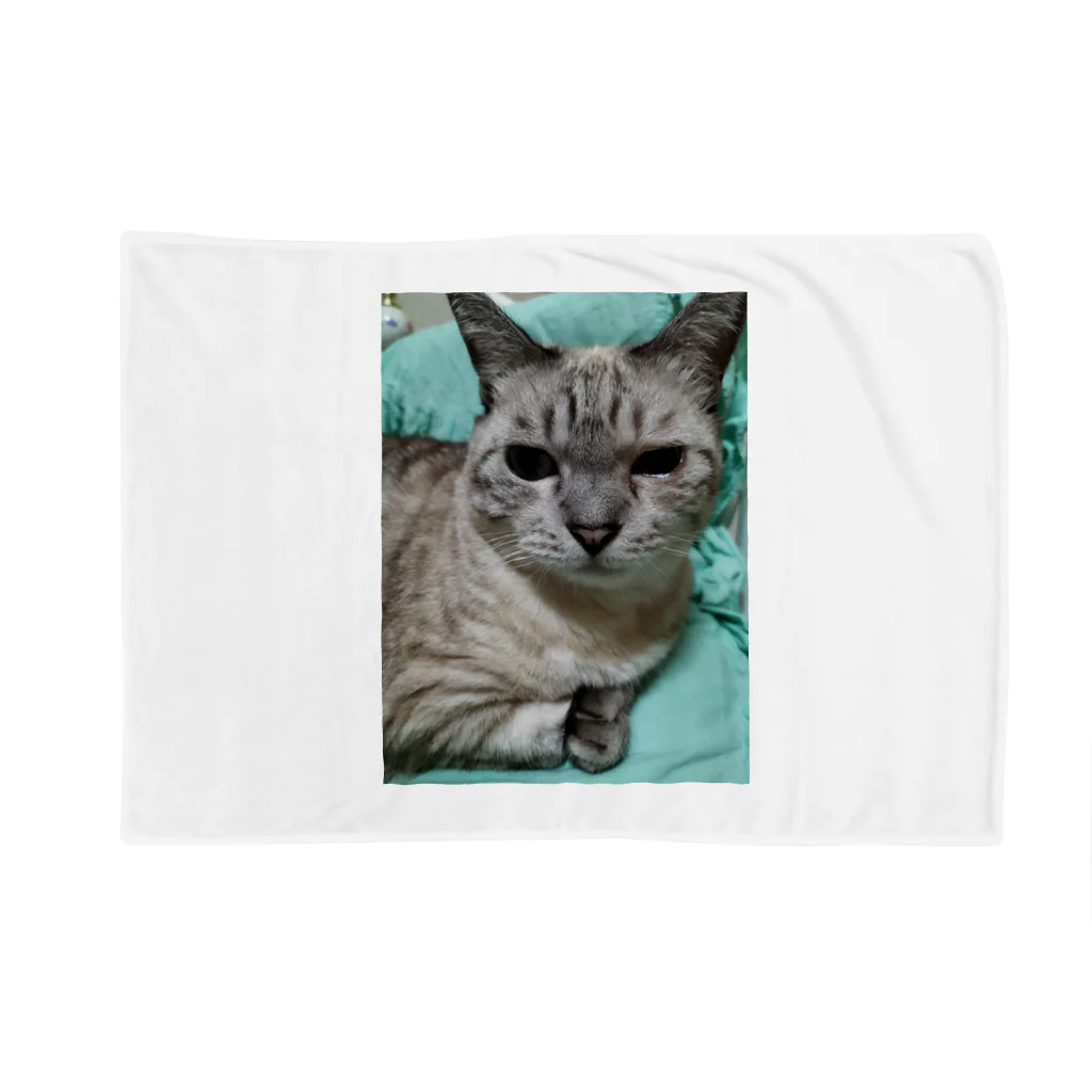 ねこの森でお散歩の微妙な顔をするかわいいシャムミックス Blanket