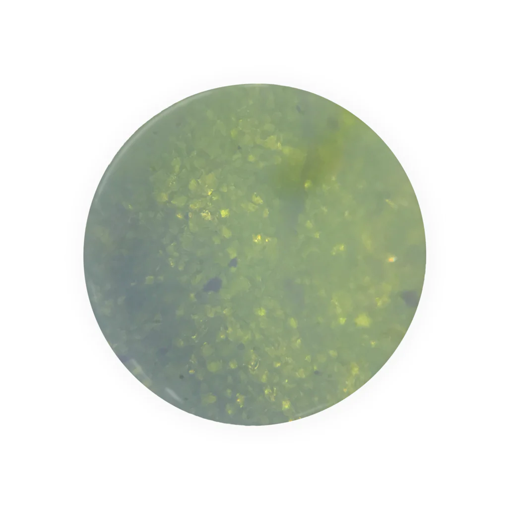 microplanets 顕微鏡アートを身につけるの顕微鏡で観察した、新宿の雑草 Tin Badge