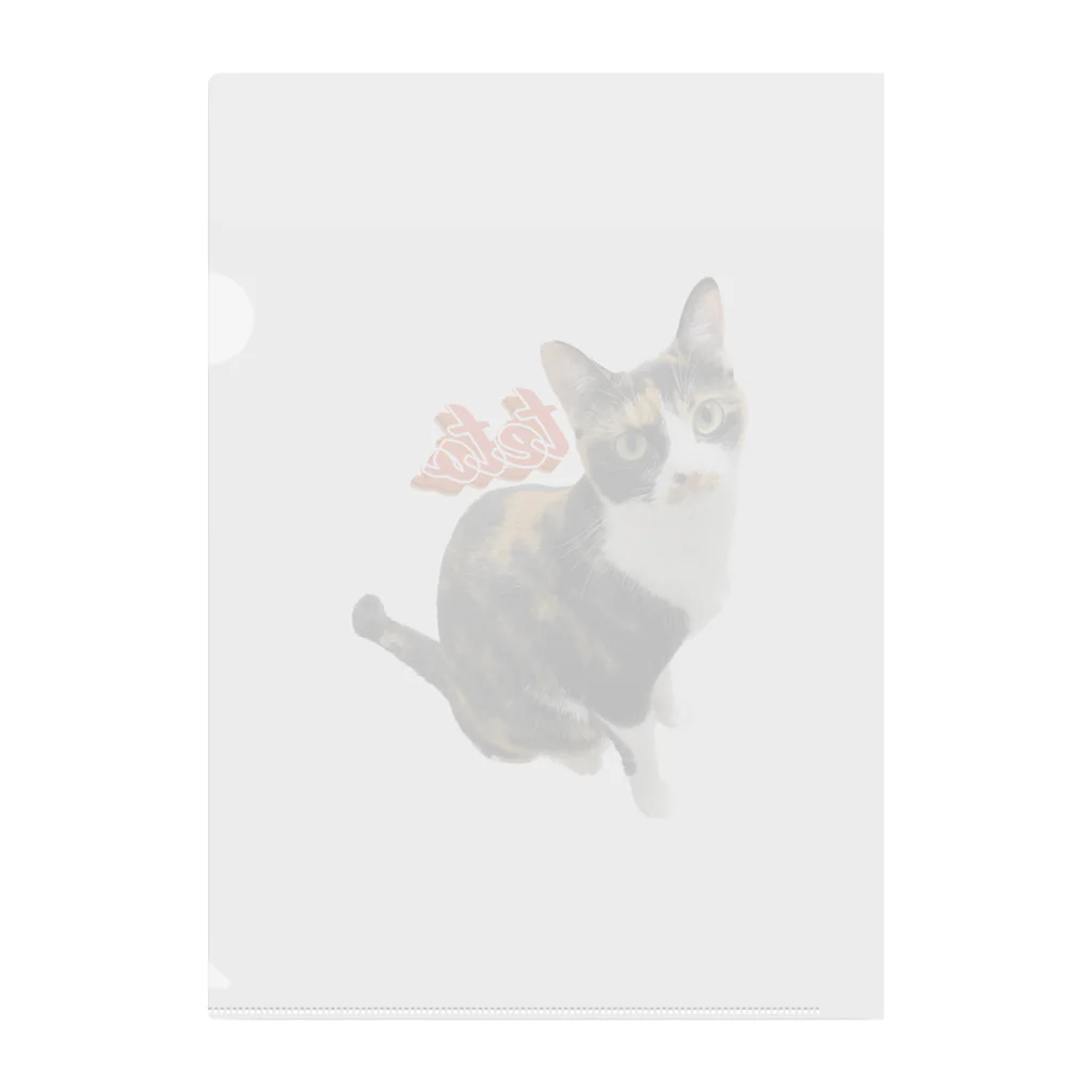 三毛猫tetoteの三毛猫teto Clear File Folder