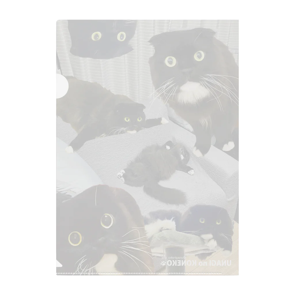 うなぎのおやどのうなぴ大集合（グレー） Clear File Folder