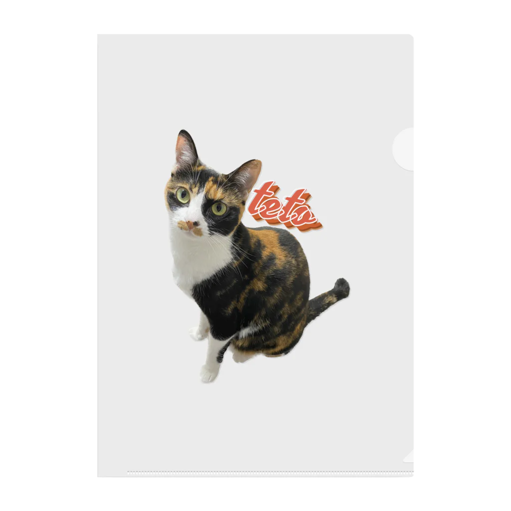 三毛猫tetoteの三毛猫teto Clear File Folder