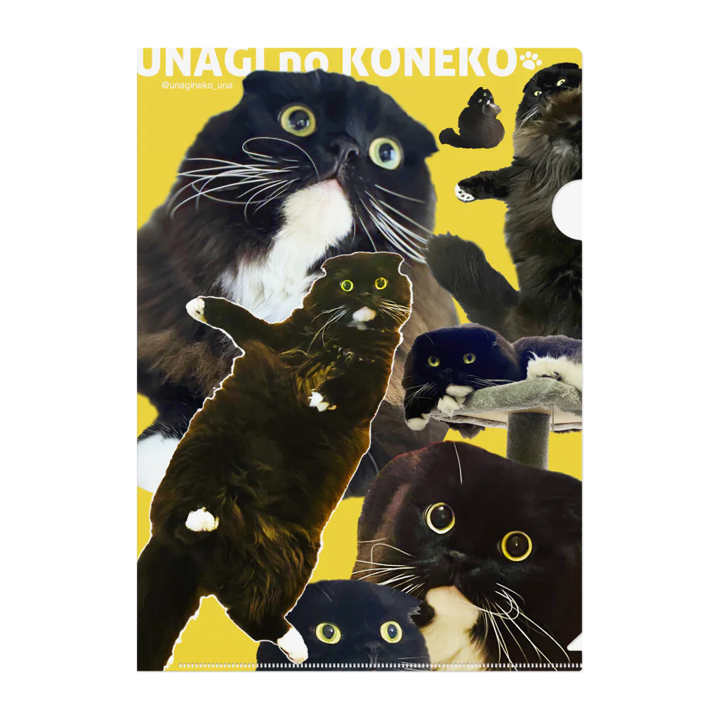 うなぎのおやどのうなぴ大集合（イエロー） Clear File Folder