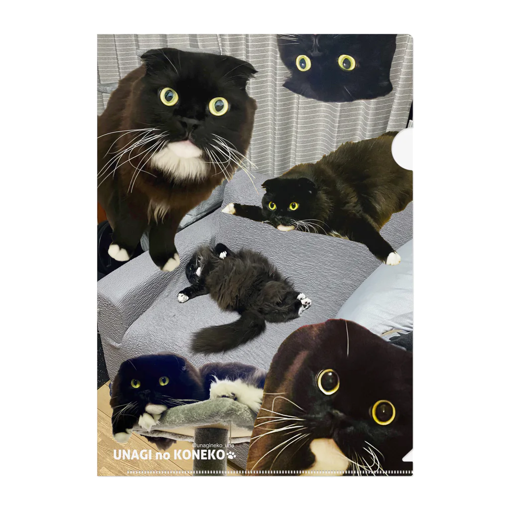 うなぎのおやどのうなぴ大集合（グレー） Clear File Folder