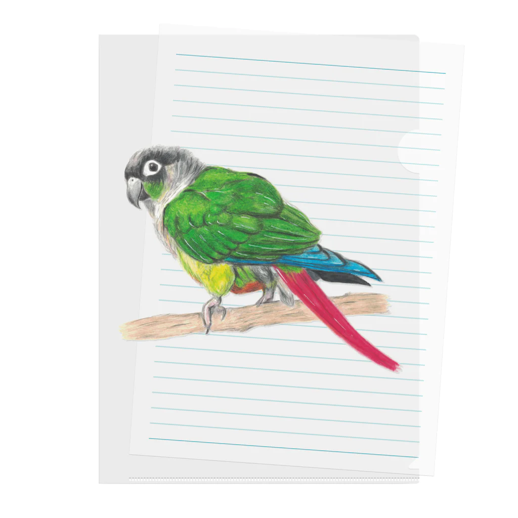 【真緒ページ】 「インコ☆オールスターズ」「ウロコインコさん」 ぱっちりお目目に落ち着きカラー🩵💎✨オホミドリウロコインコ