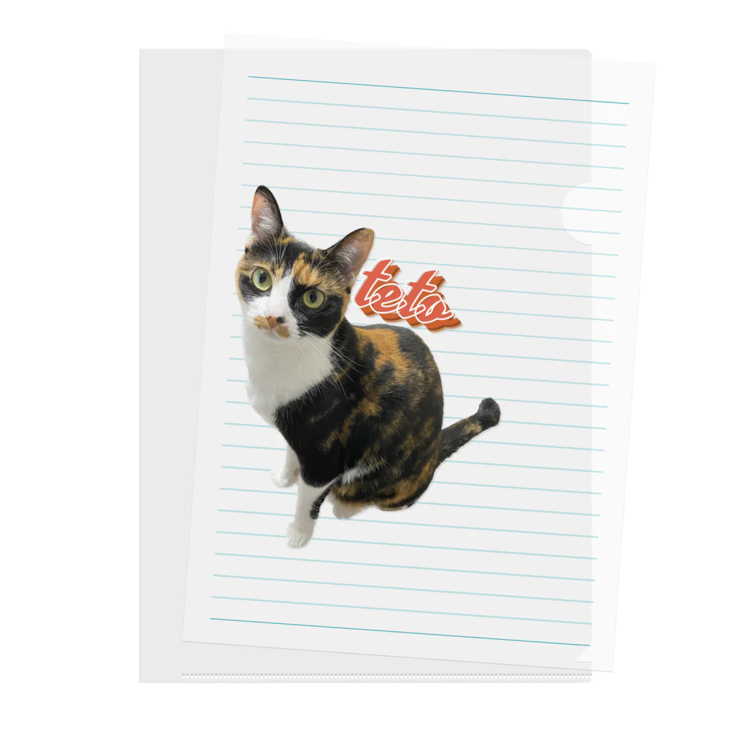 三毛猫tetoteの三毛猫teto Clear File Folder