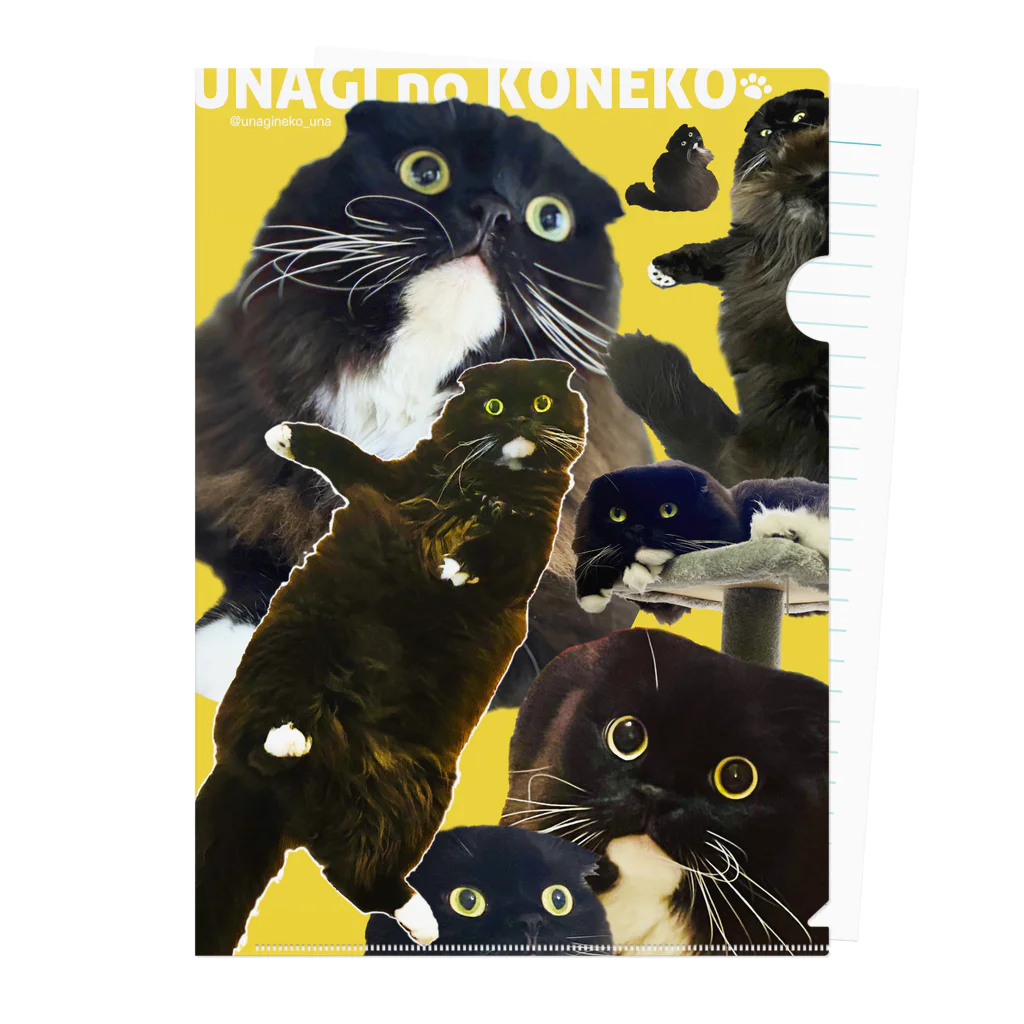 うなぎのおやどのうなぴ大集合（イエロー） Clear File Folder