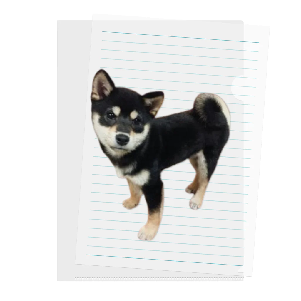 黒柴　ルー君の黒柴　ルー君 Clear File Folder