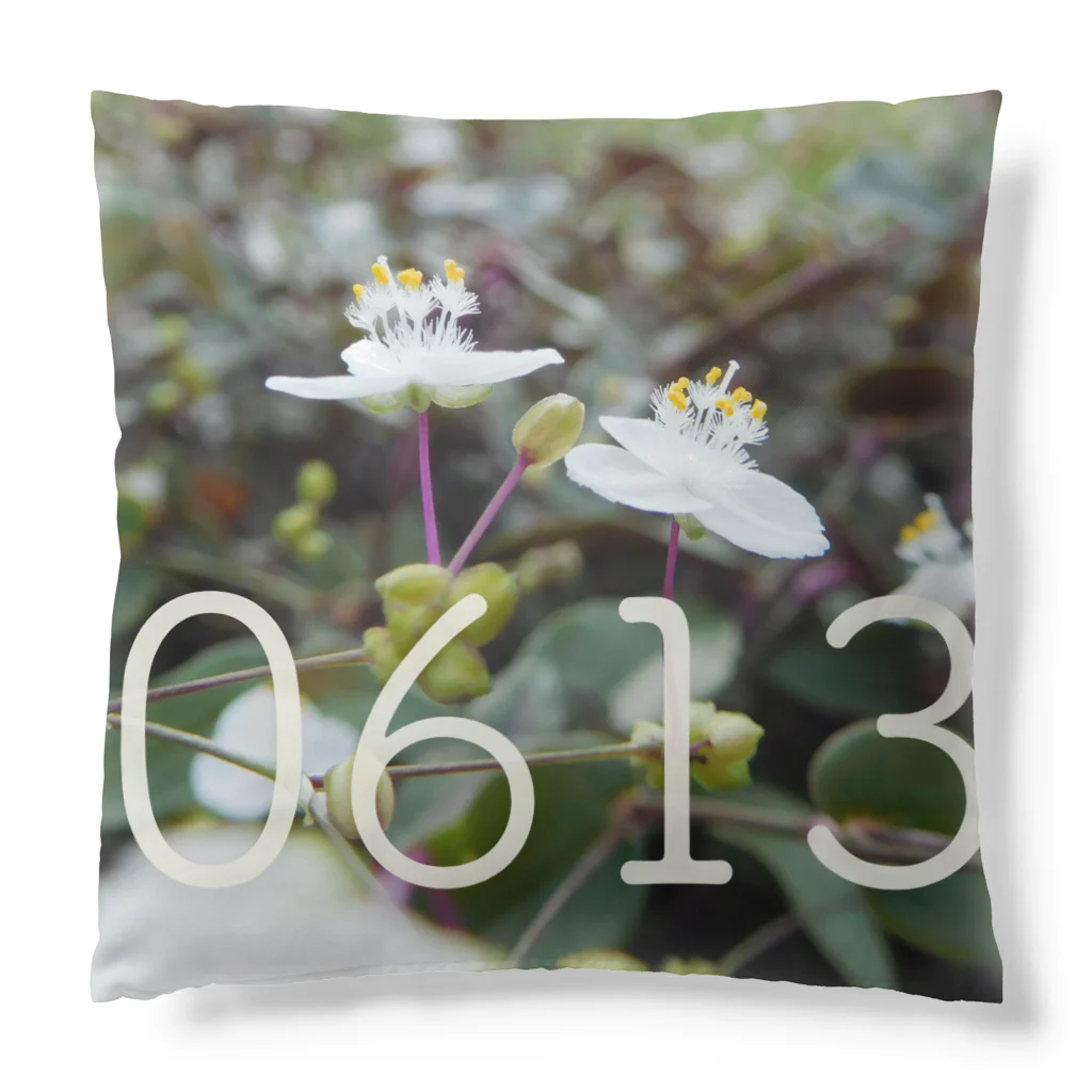 ς ua· Birthday flowerの6月13日 ブライダルベール Cushion