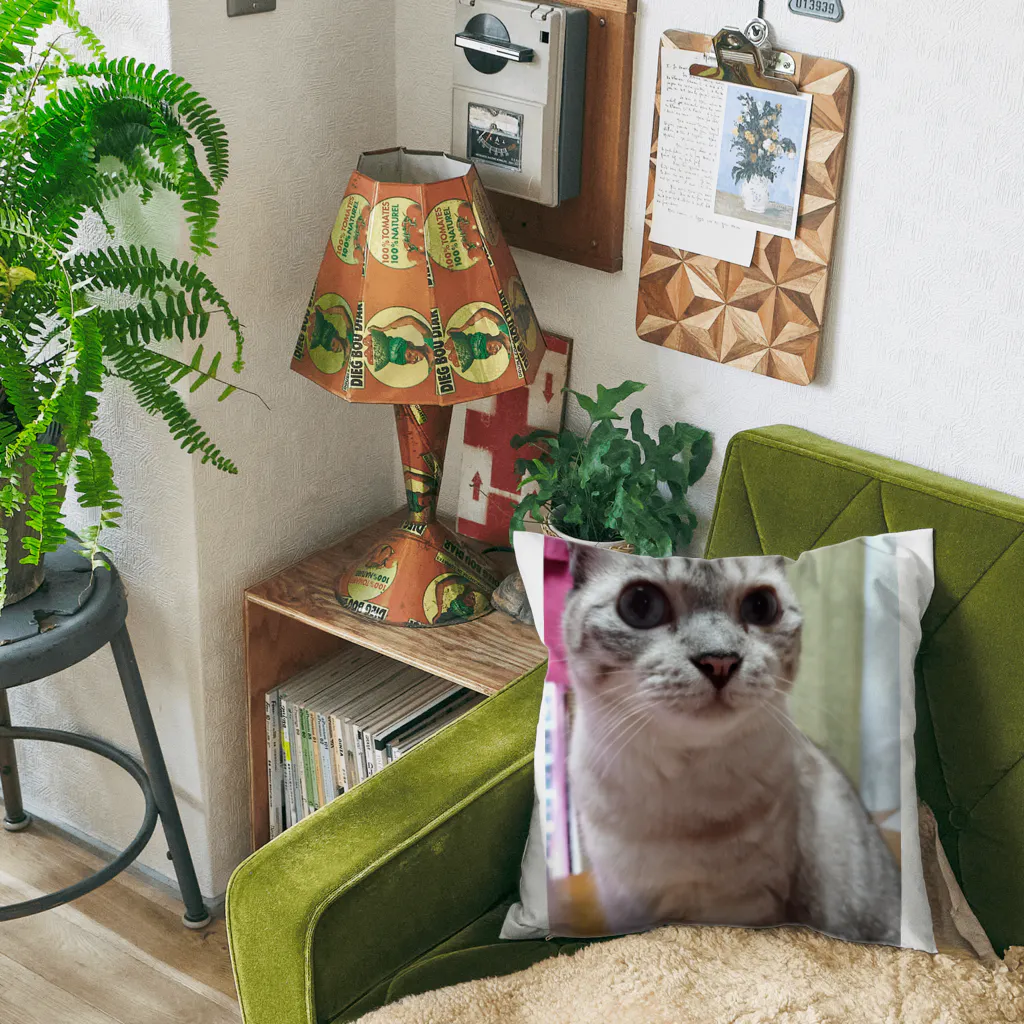 ねこの森でお散歩のお目々くりくりにゃんこ Cushion