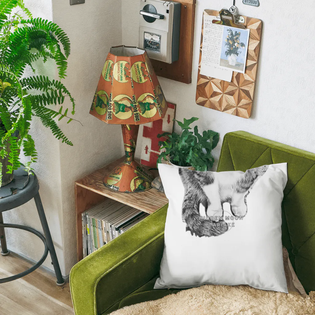 HIDDEN MOON-ARIAKEの16 Cushion