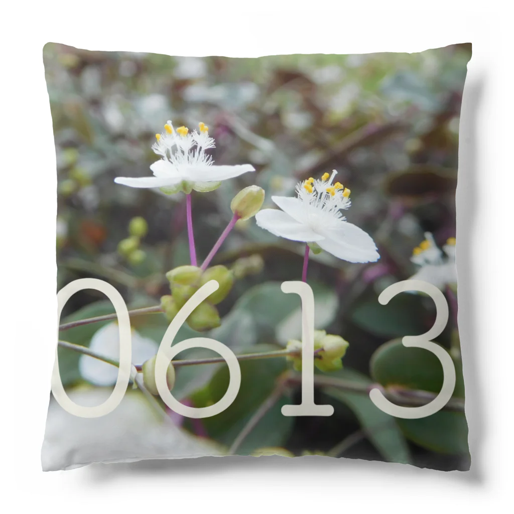 ς ua· Birthday flowerの6月13日 ブライダルベール Cushion