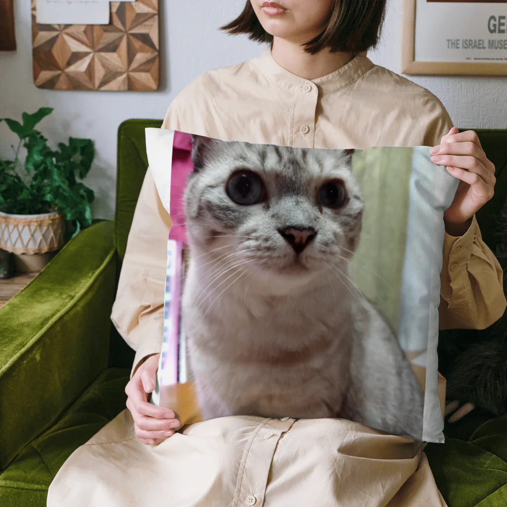 ねこの森でお散歩のお目々くりくりにゃんこ Cushion