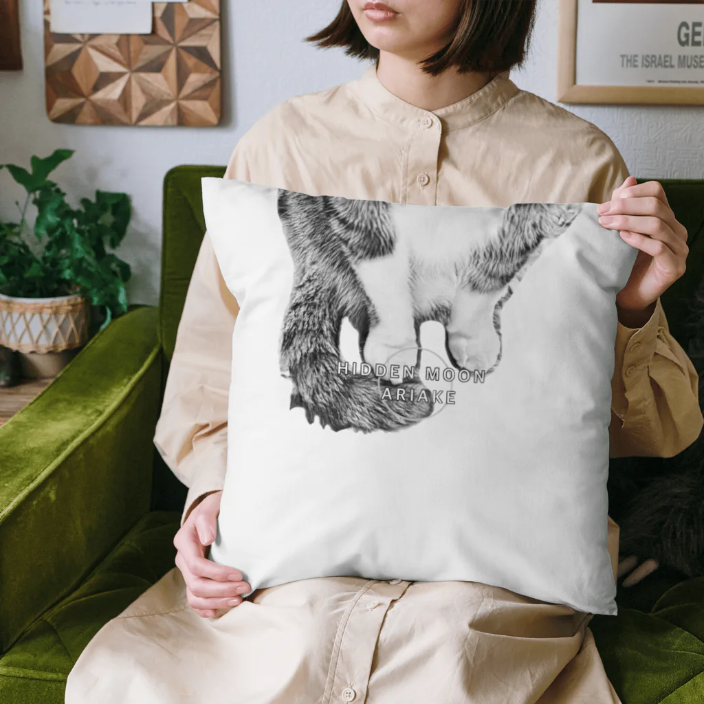 HIDDEN MOON-ARIAKEの16 Cushion