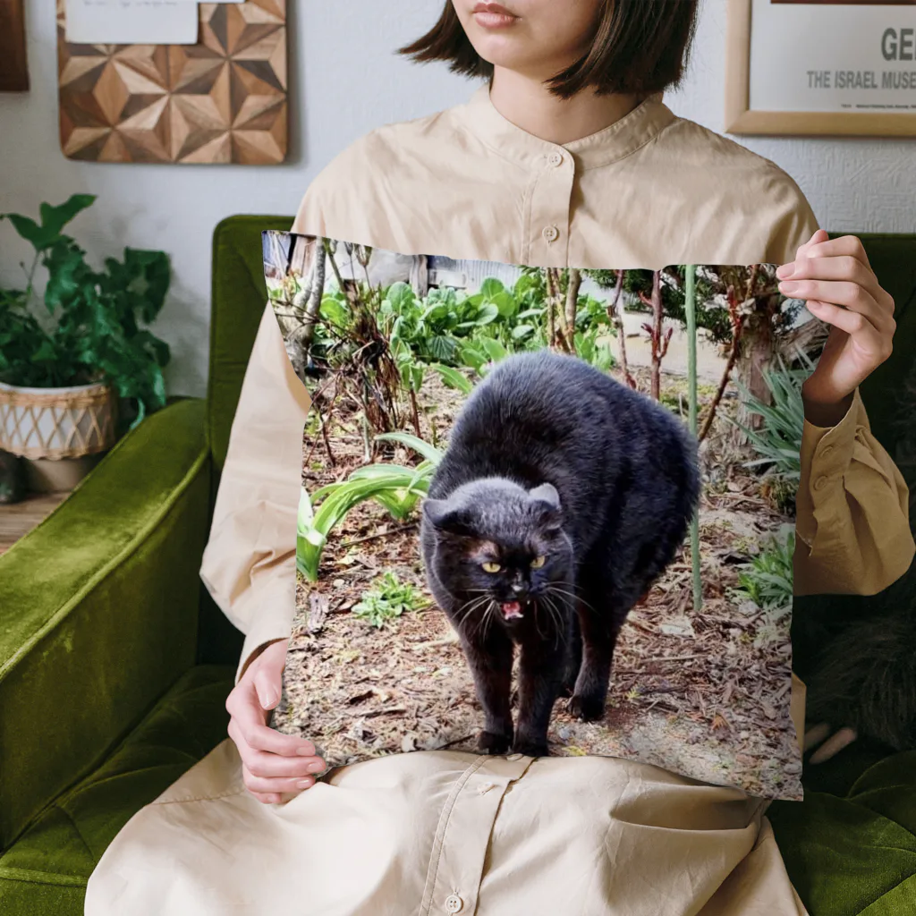 猫のらぶのガチギレねこ Cushion