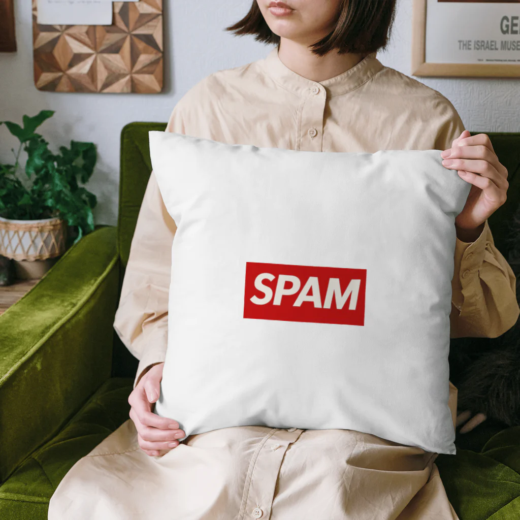 TAKE1214のSPAM  Cushion