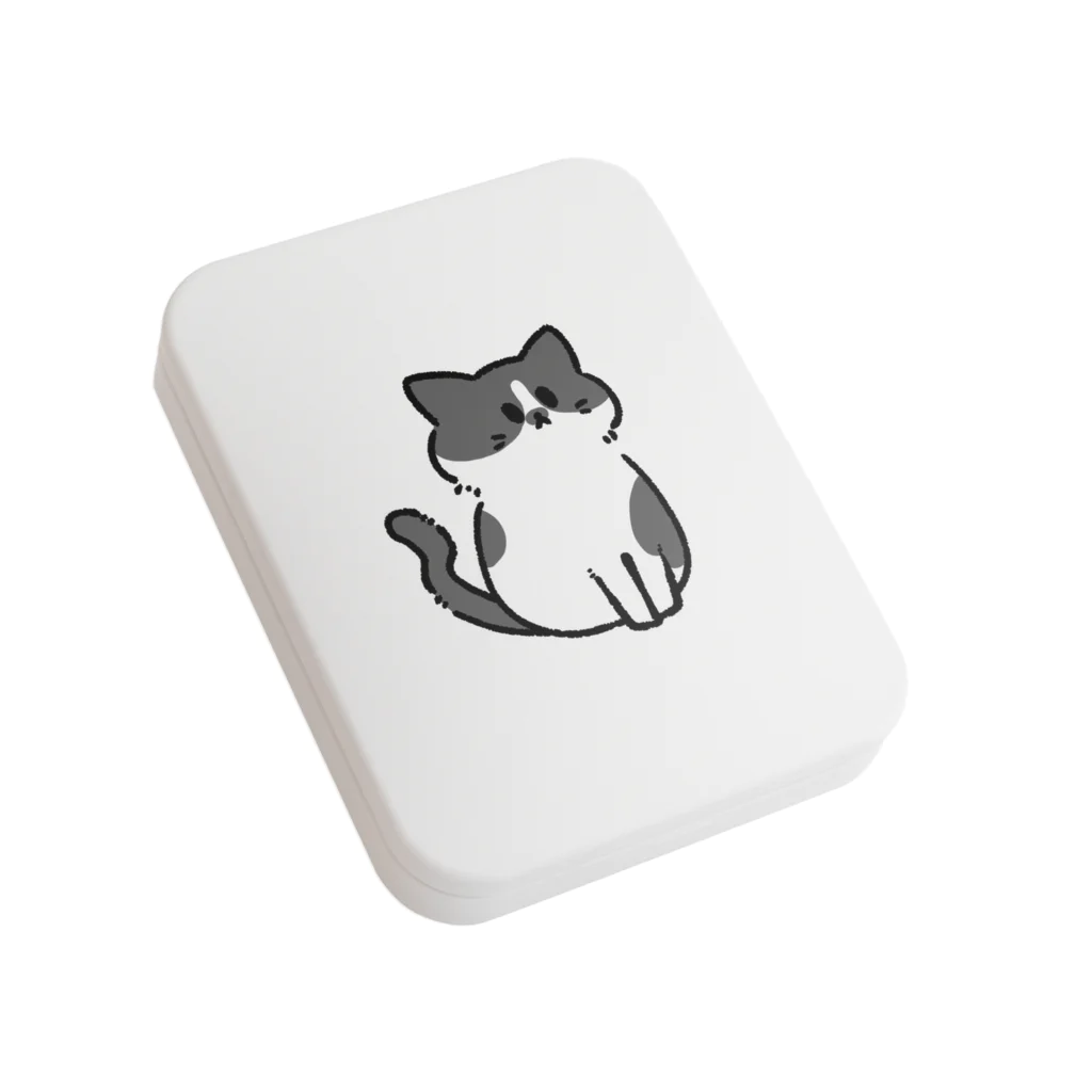 岬ペンションガジュマルのるぃ君🐱🐾໊ Flat Tin Case