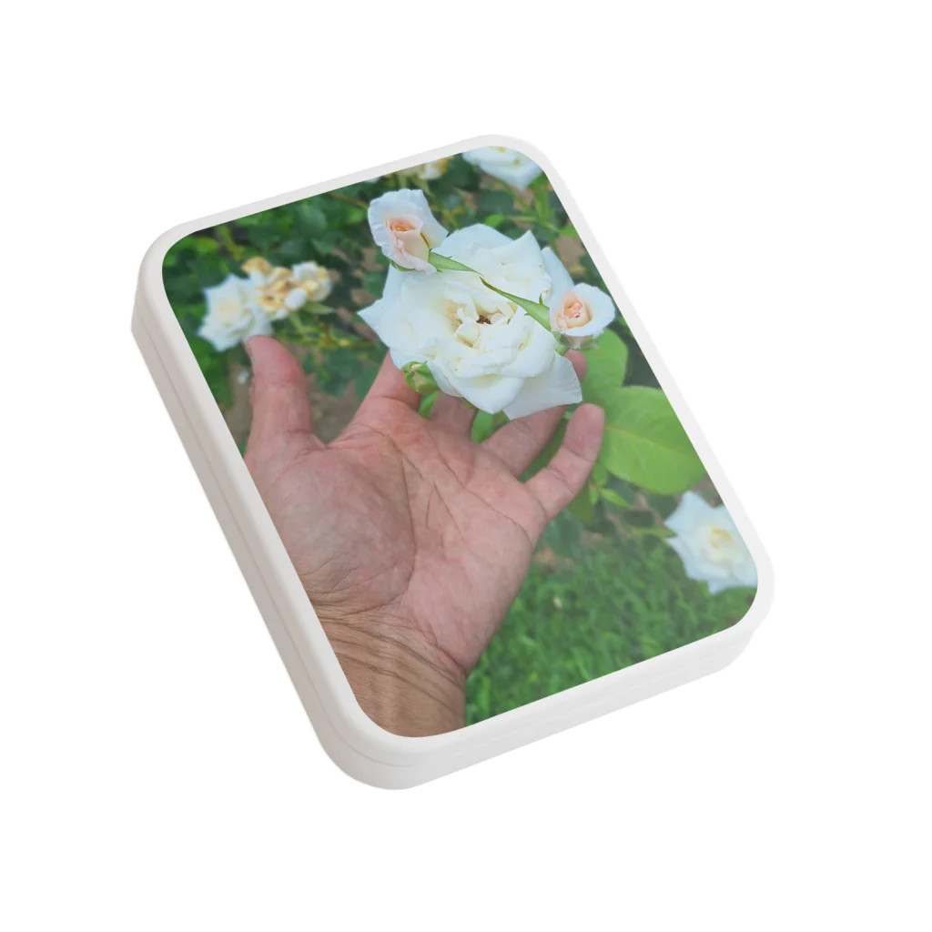 give my arm.のRose Flat Tin Case