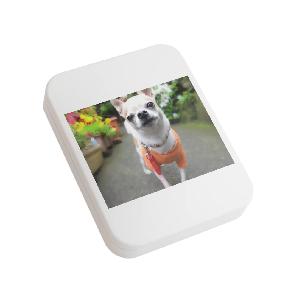 akane_art（茜音工房）のカラフルチワワ（フラワー） Flat Tin Case