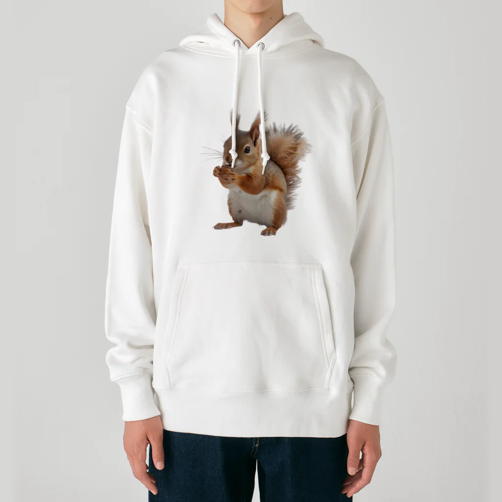 女神ショップのリスパーカー Heavyweight Hoodie