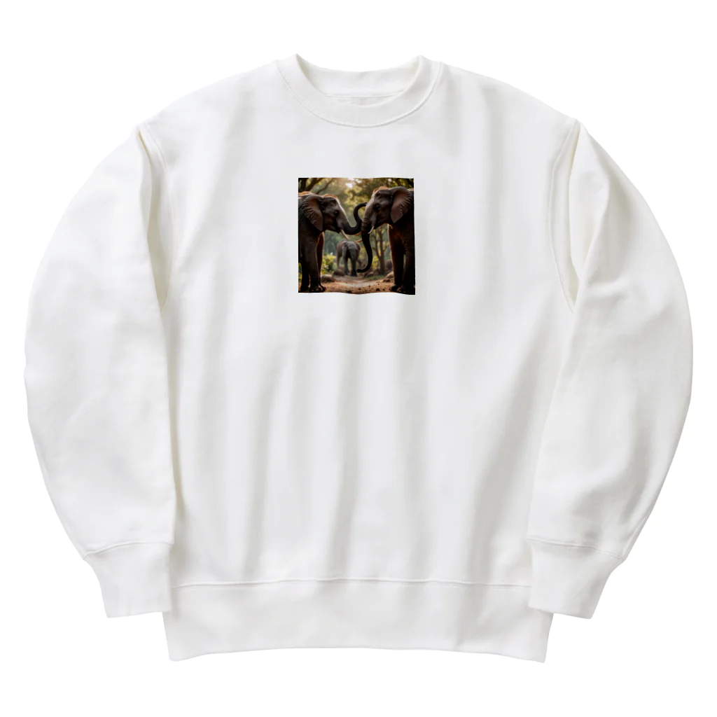 ミスターの会話している象 Heavyweight Crew Neck Sweatshirt