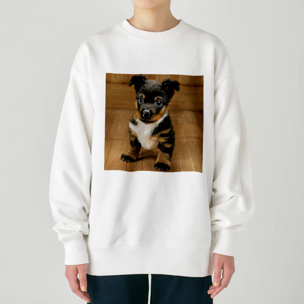 FUWAFUWAPAWSの可愛い子犬 Heavyweight Crew Neck Sweatshirt