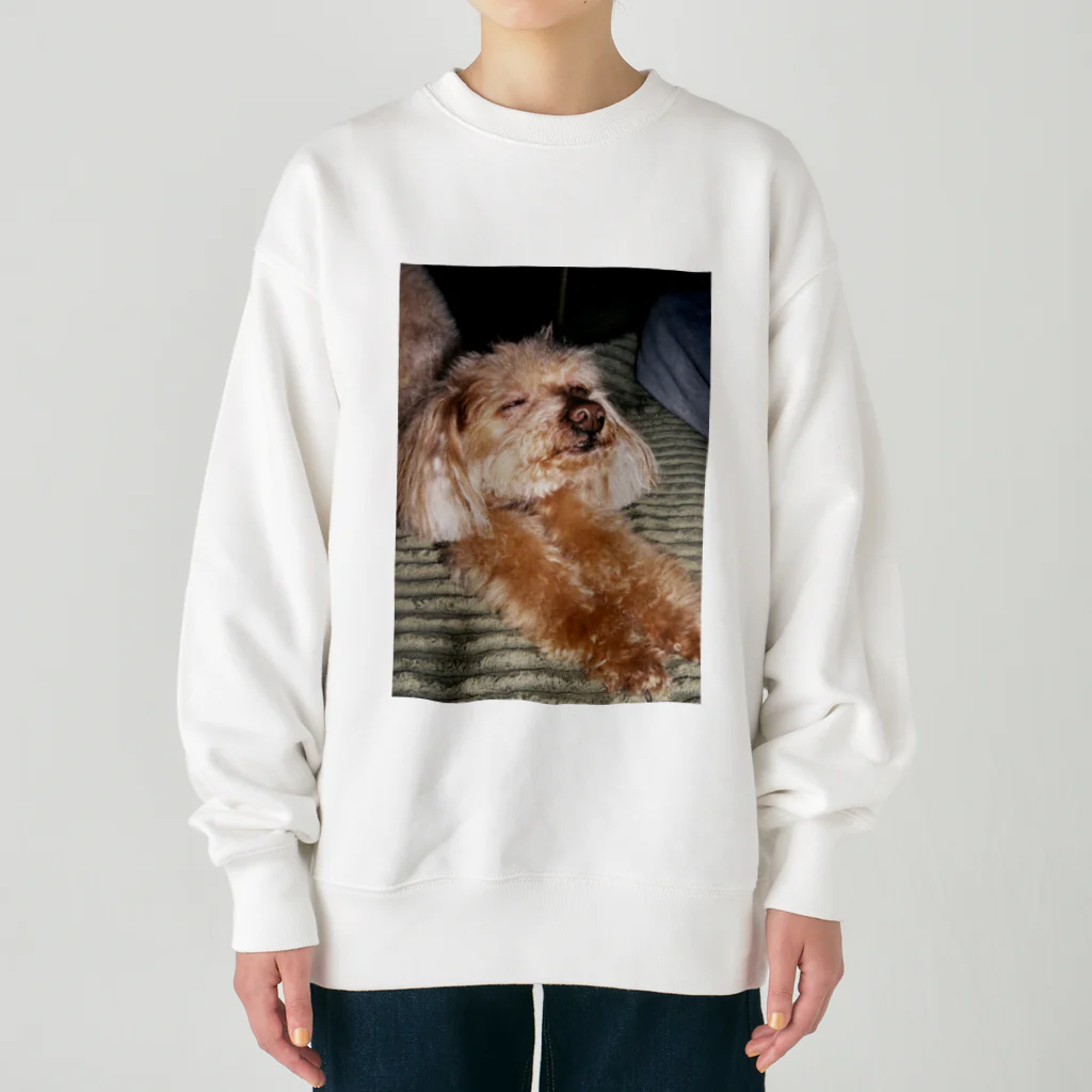 ざらざらせんべい亀の伸び犬 Heavyweight Crew Neck Sweatshirt