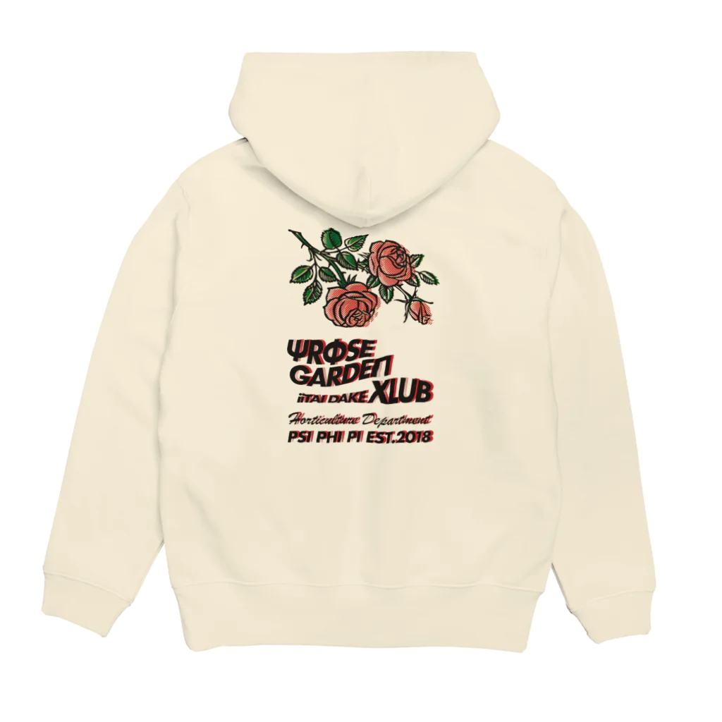 Samurai Gardenサムライガーデンのvintage RGX Hoodie:back