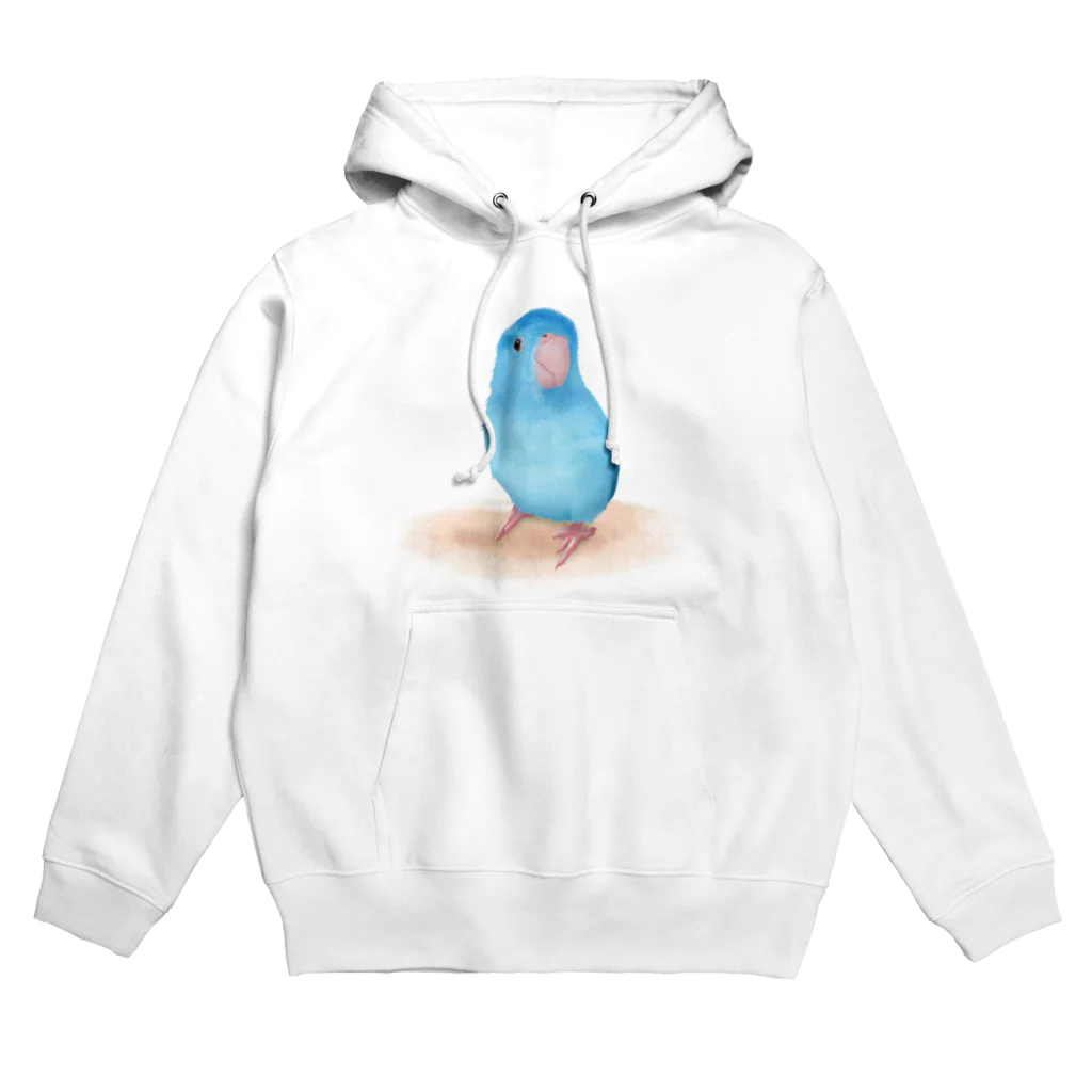 まめるりはことりのブルーマメルリハ【まめるりはことり】 Hoodie