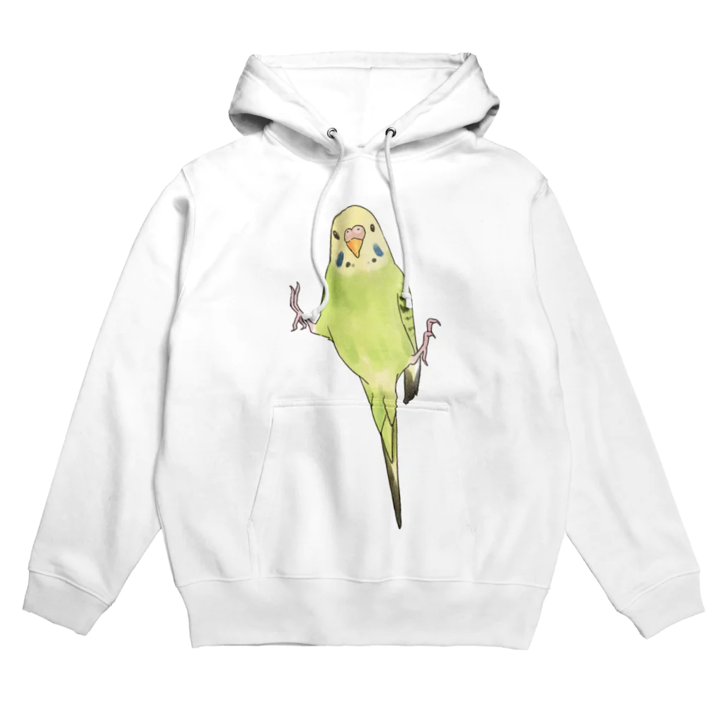 まめるりはことりのピタッとセキセイインコちゃん【まめるりはことり】 Hoodie