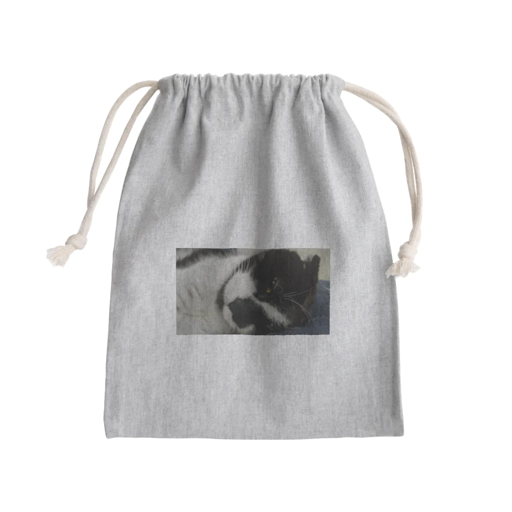 チョコのつぶらな瞳 Mini Drawstring Bag