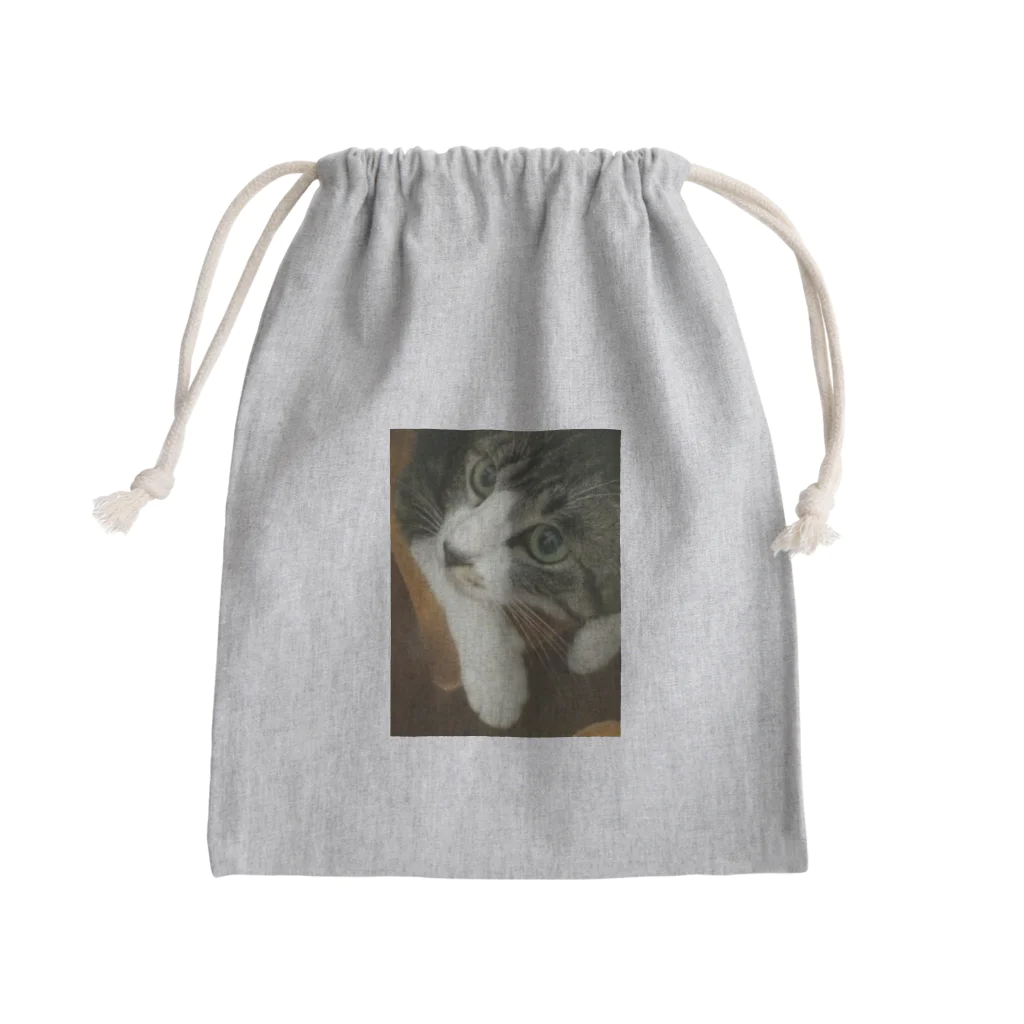 うさぎ堂の家のにゃんこ Mini Drawstring Bag