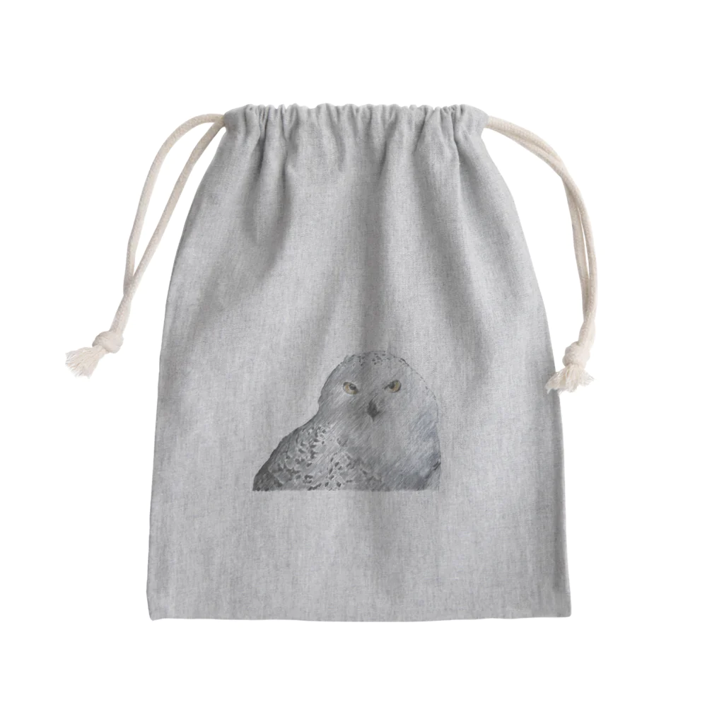 静かな山の頂へのフクロウ Mini Drawstring Bag