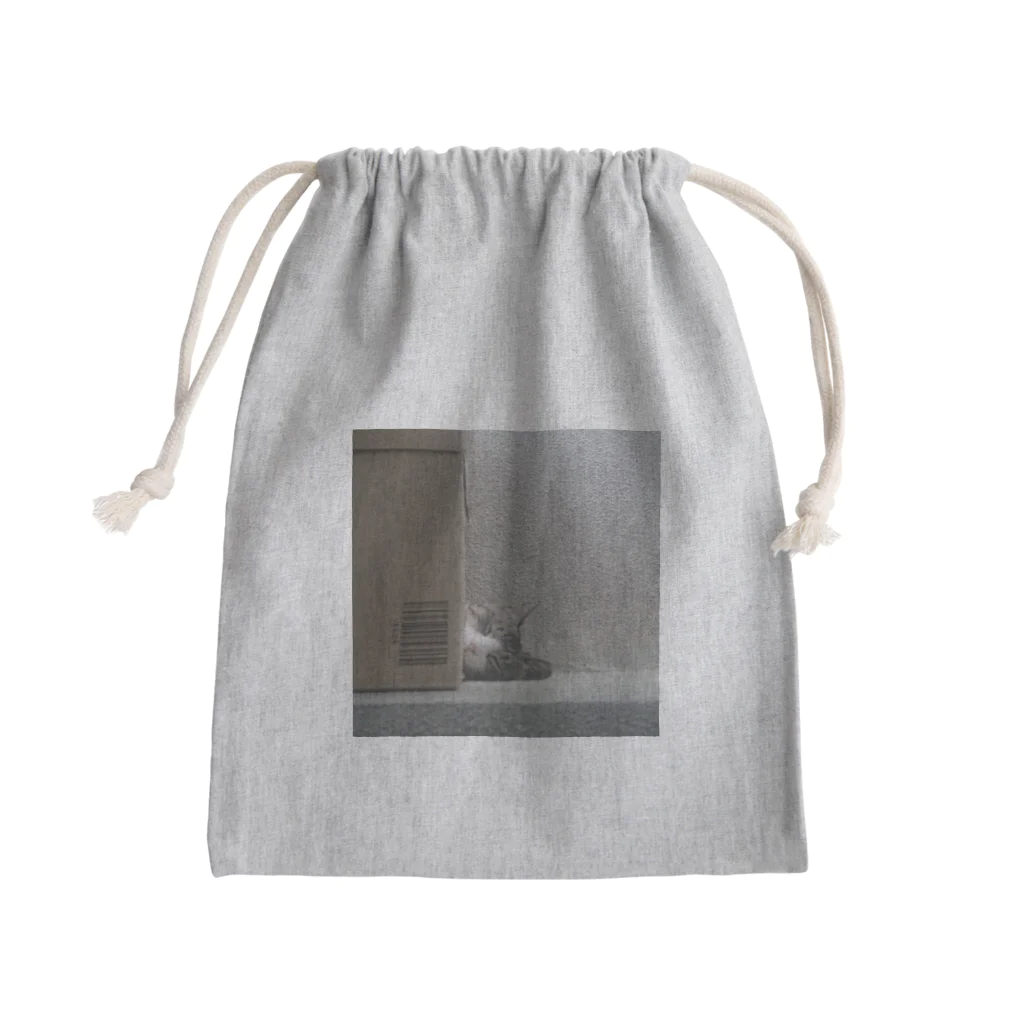 miyu_the_catのダンボールキャット(寝てる) Mini Drawstring Bag