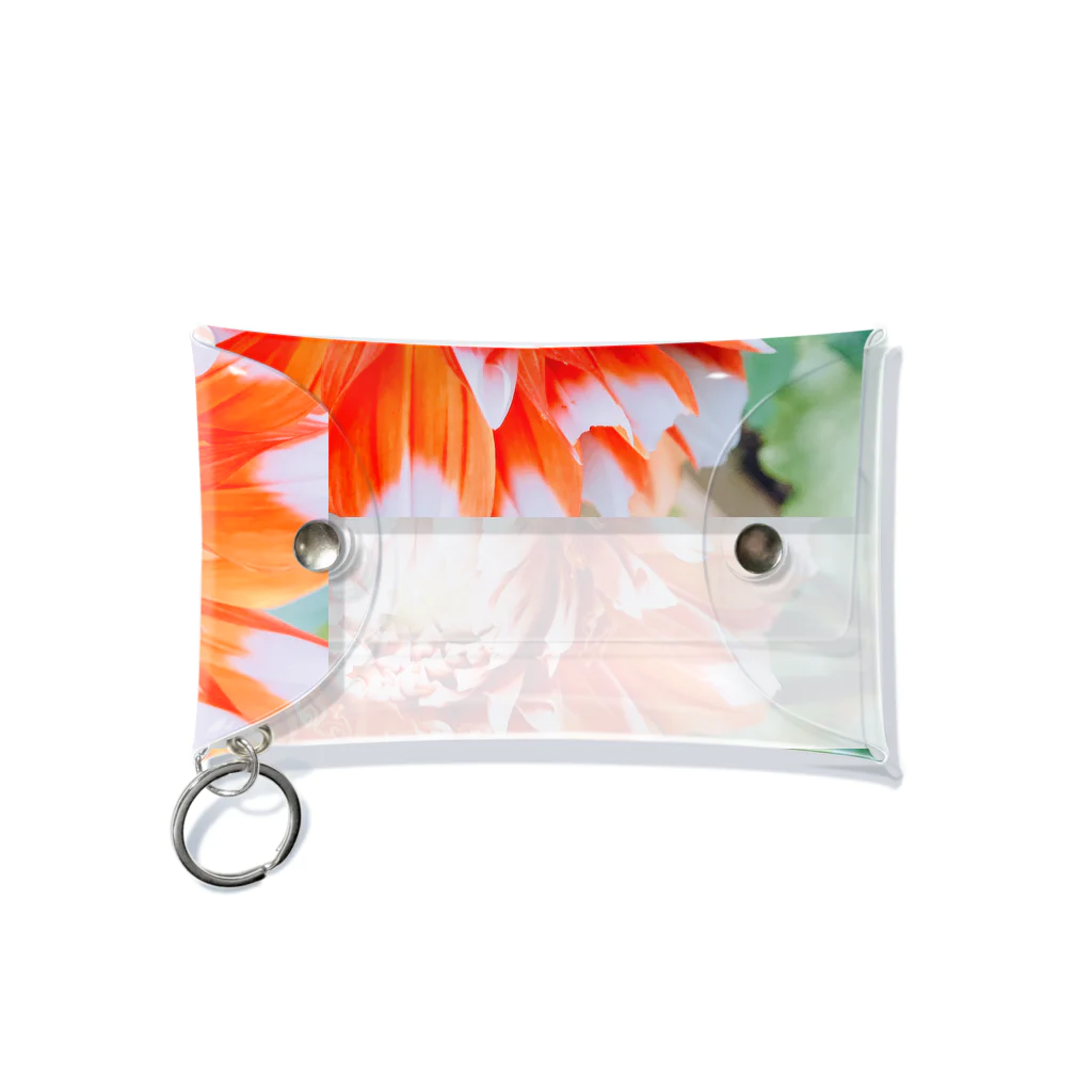 nazuna-panのhanahana-1 Mini Clear Multipurpose Case