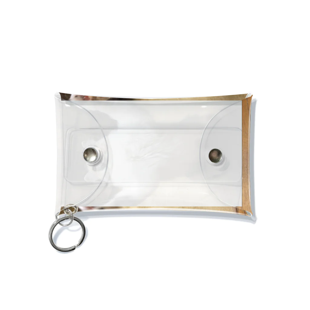 goodpugshopのチヂミ Mini Clear Multipurpose Case