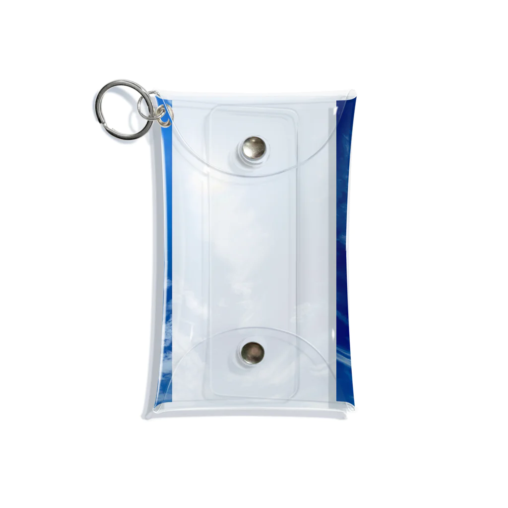 たばすこあまがえるのClione Mini Clear Multipurpose Case