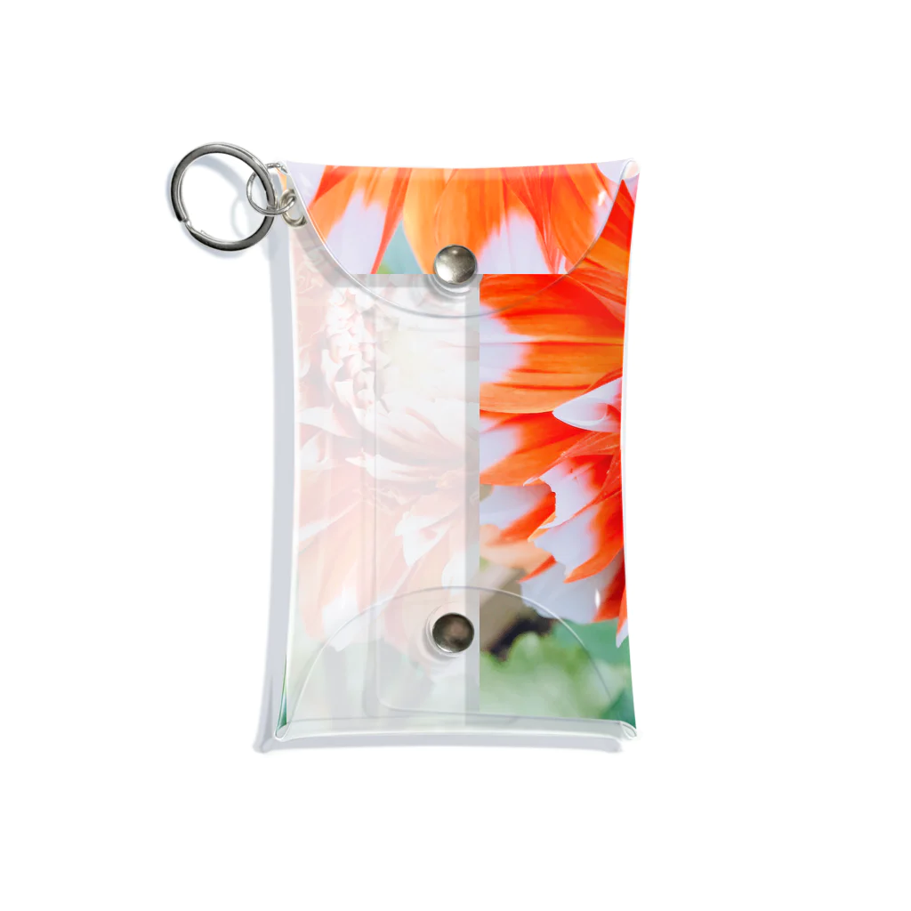 nazuna-panのhanahana-1 Mini Clear Multipurpose Case
