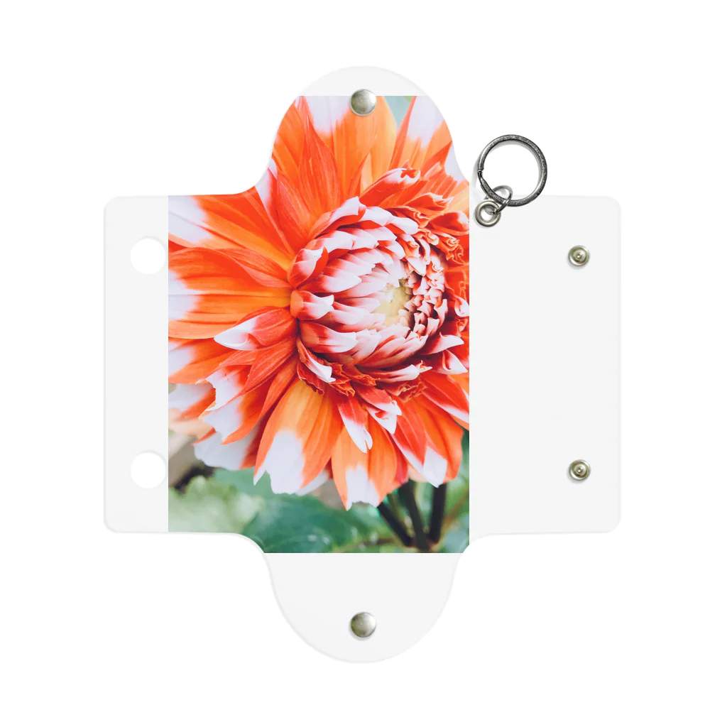 nazuna-panのhanahana-1 Mini Clear Multipurpose Case