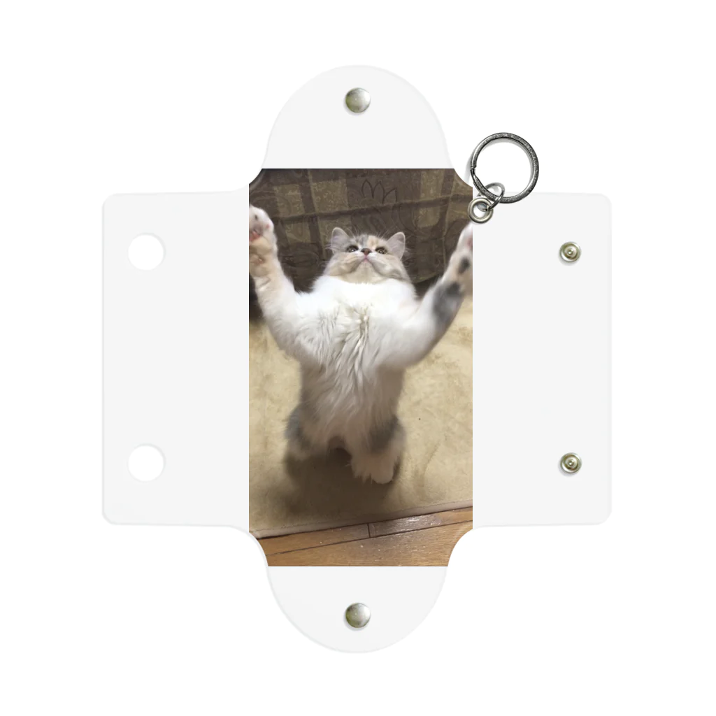 goodpugshopのチヂミ Mini Clear Multipurpose Case