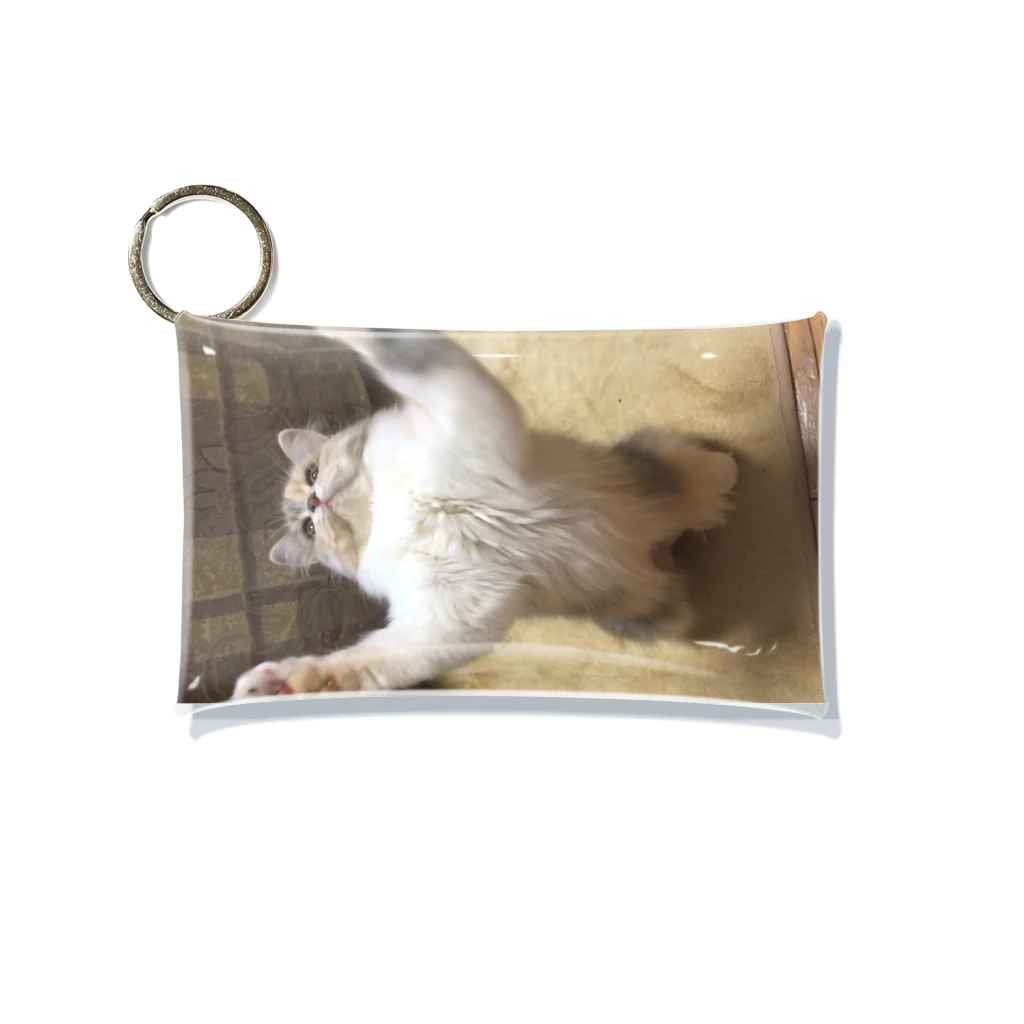 goodpugshopのチヂミ Mini Clear Multipurpose Case