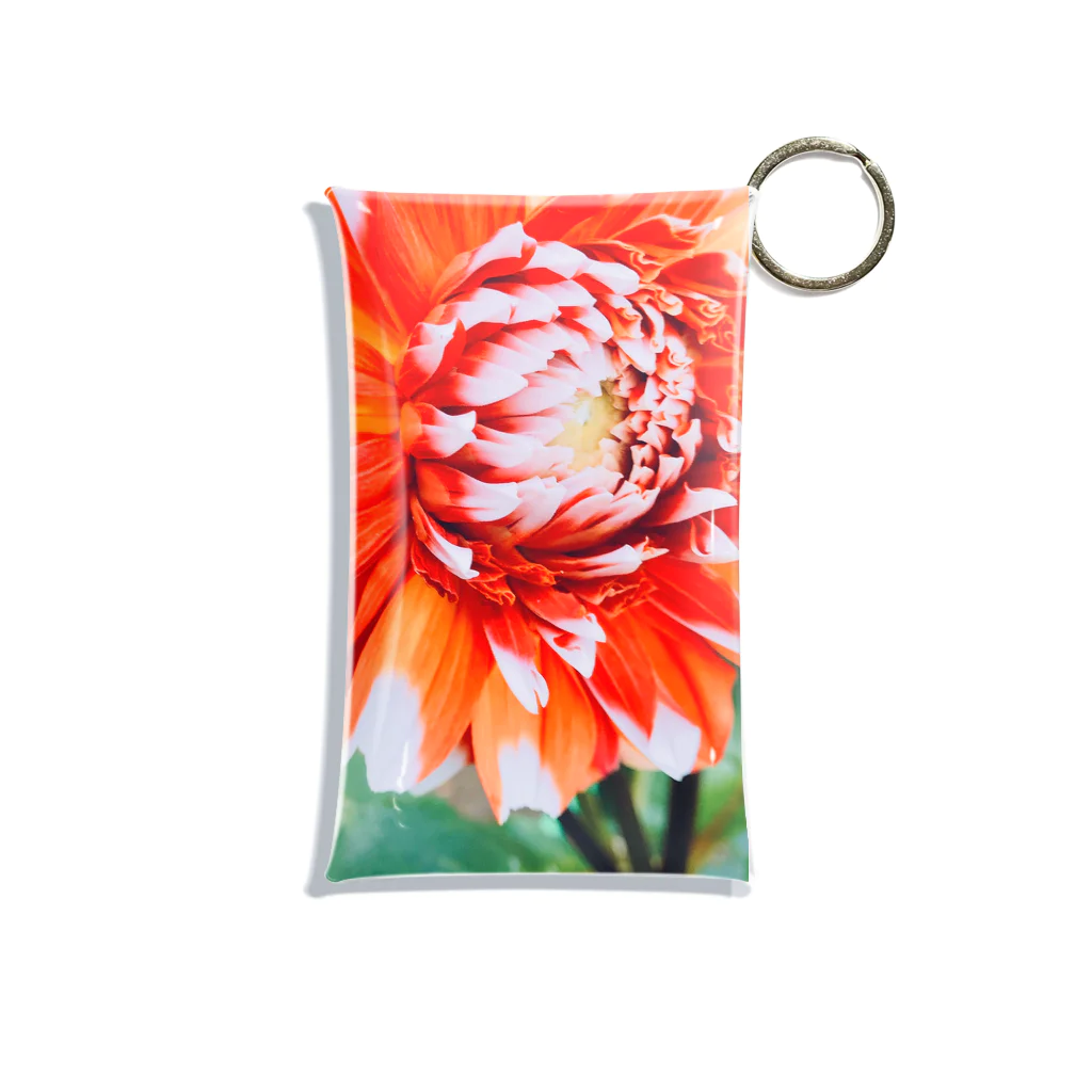 nazuna-panのhanahana-1 Mini Clear Multipurpose Case