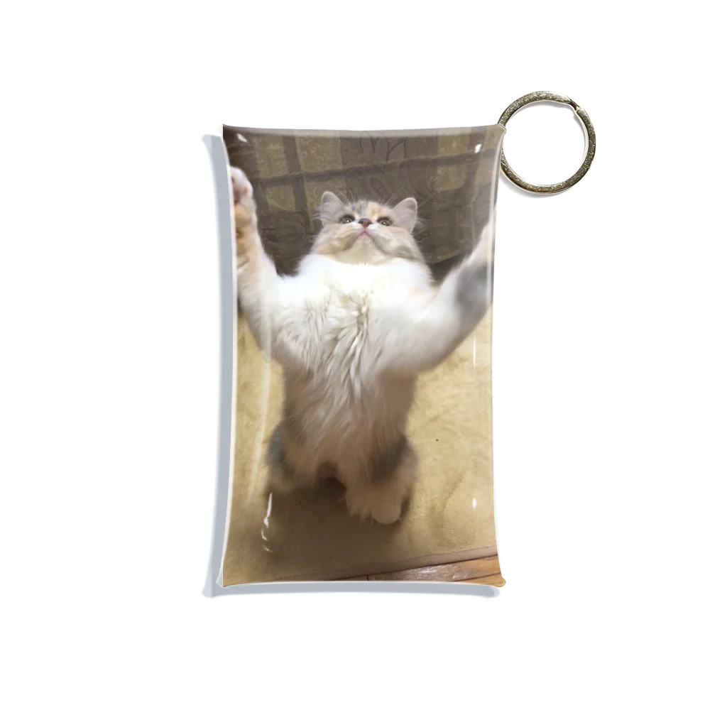 goodpugshopのチヂミ Mini Clear Multipurpose Case