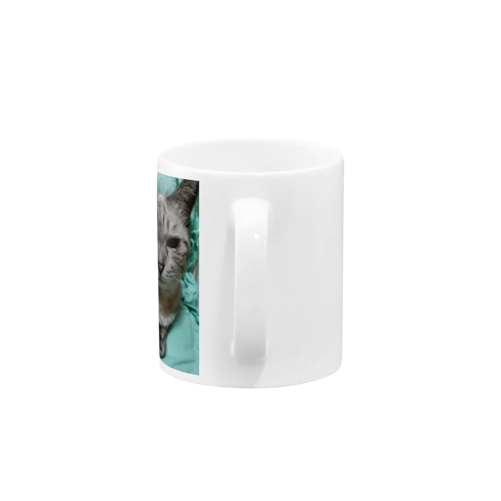 ねこの森でお散歩の微妙な顔をするかわいいシャムミックス Mug :handle