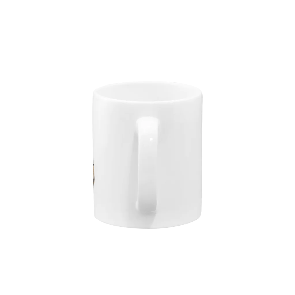 ALOHAの元野良猫 Mug :handle