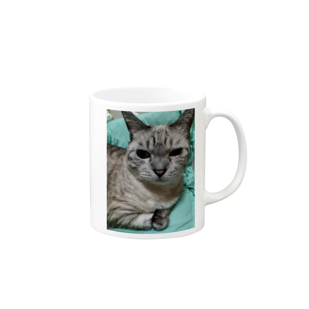 ねこの森でお散歩の微妙な顔をするかわいいシャムミックス Mug :right side of the handle