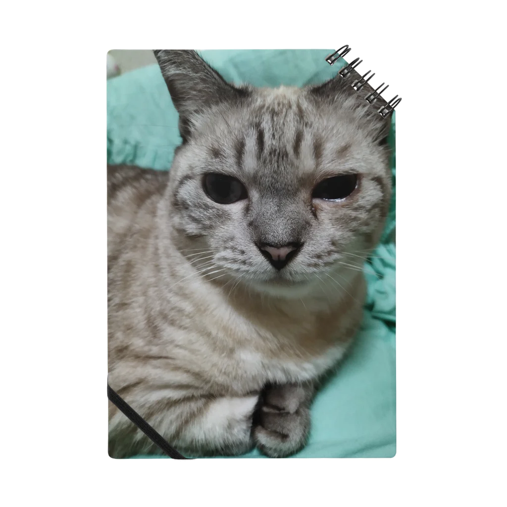 ねこの森でお散歩の微妙な顔をするかわいいシャムミックス Notebook