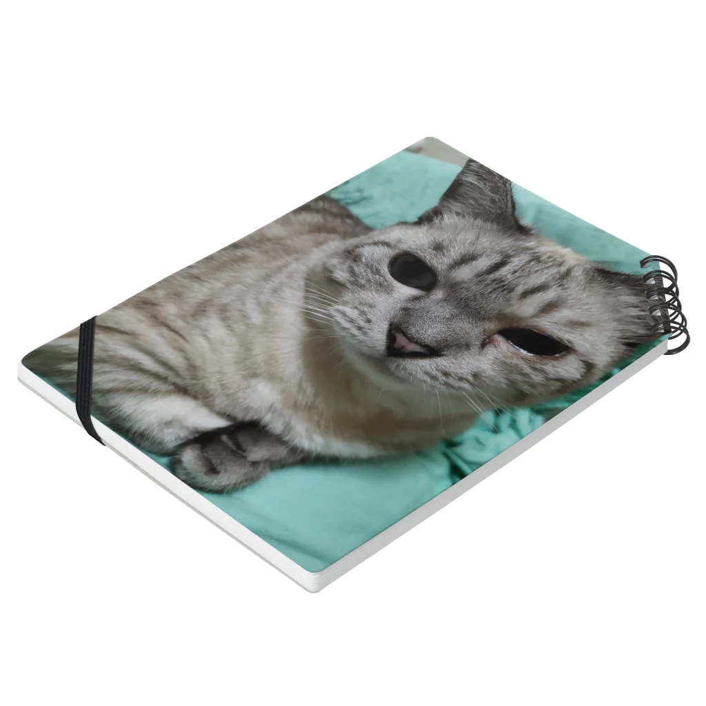 ねこの森でお散歩の微妙な顔をするかわいいシャムミックス Notebook :placed flat