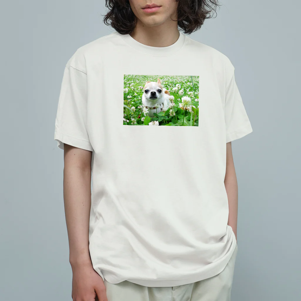 akane_art（茜音工房）のカラフルチワワ（クローバー） Organic Cotton T-Shirt